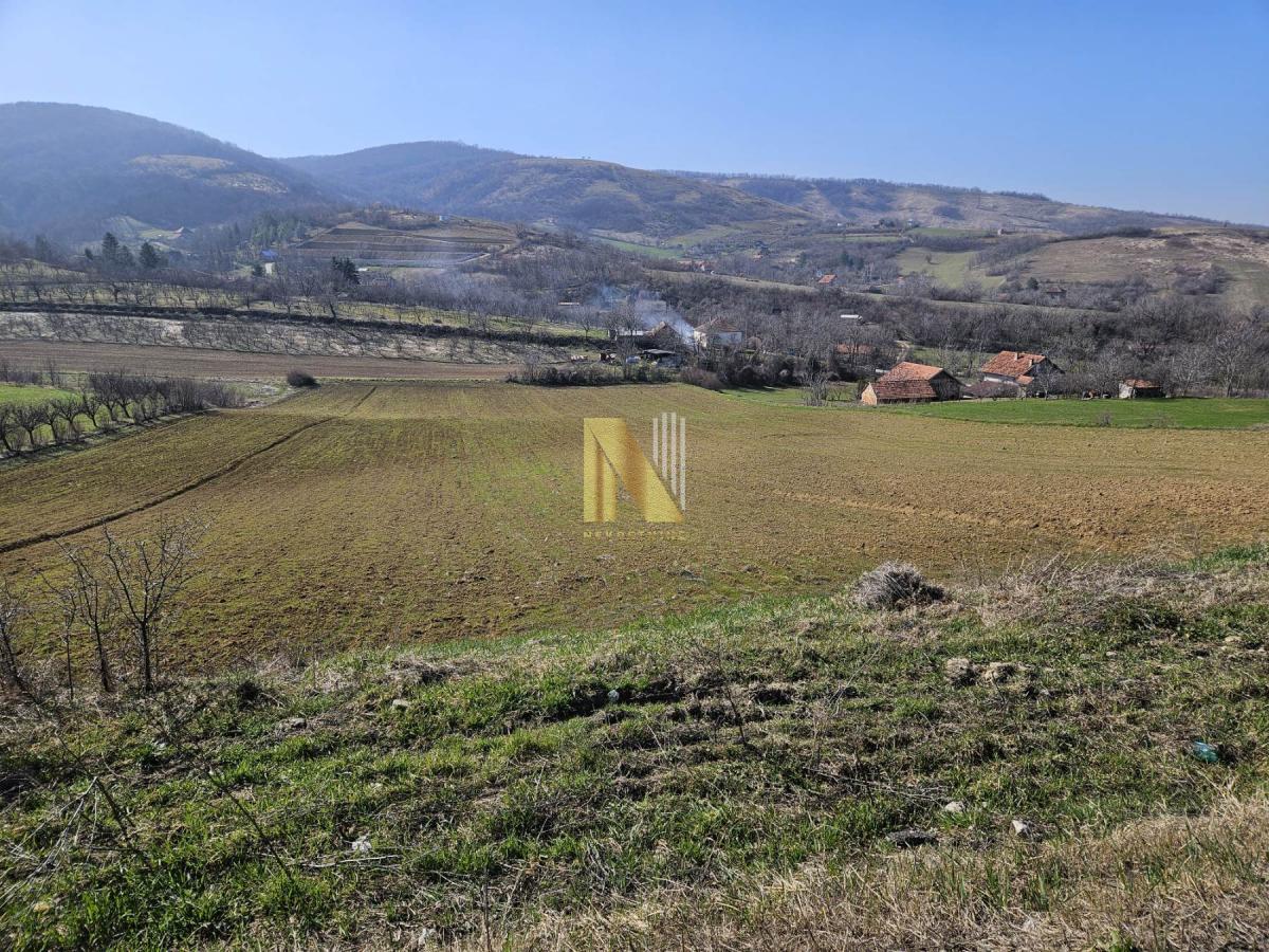 Na prodaju građevinsko zemljište – 15.361m2 – Beočin, Šakotinac
