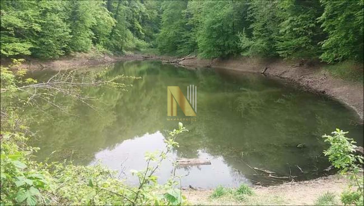 Fruška Gora – plac sa šumom i livadom u blizini Popovičkog jezera