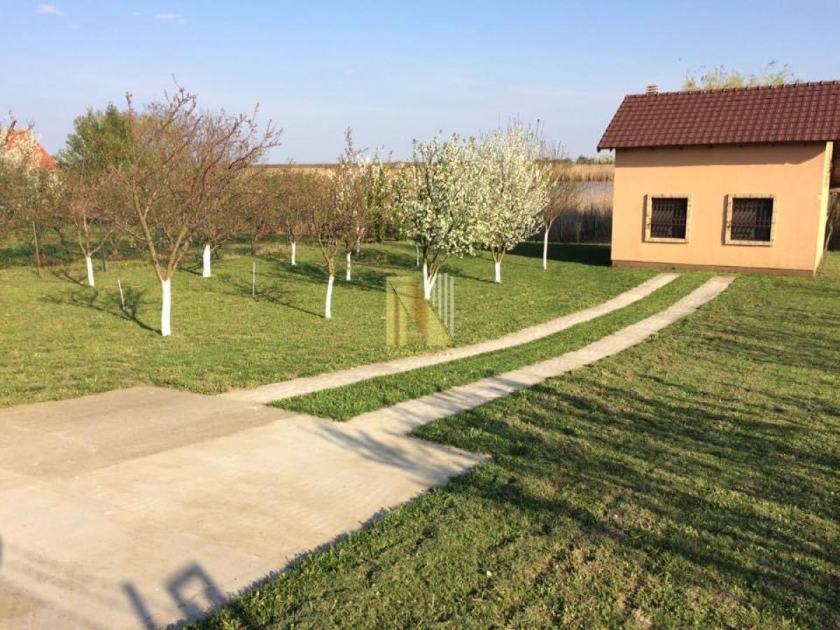 Vikendica sa izlazom na Tisu - Biserno ostrvo