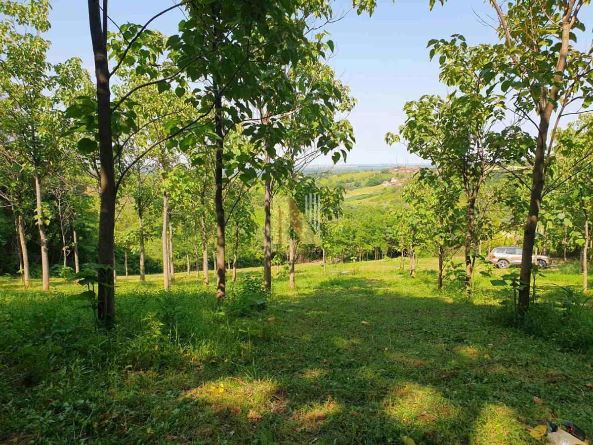 Pogled na padine Fruške gore i Vojvodinu - Zanoš