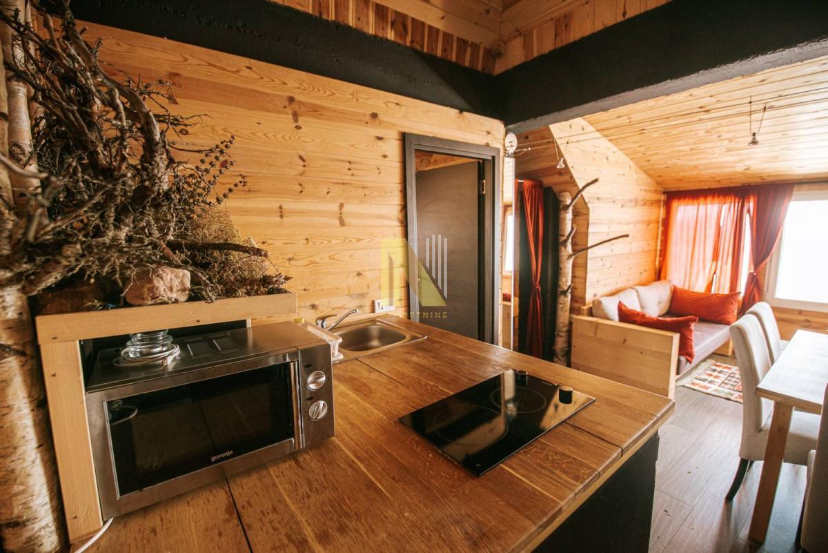 Kopaonik - odličan apartman u planinskom stilu sa sopstvenom saunom